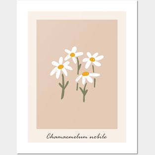 Cute chamomile art, Flower market, Retro print, Cottagecore, Posters aesthetic, Abstract white flowers Posters and Art